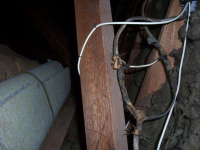 Photo of very old wiring